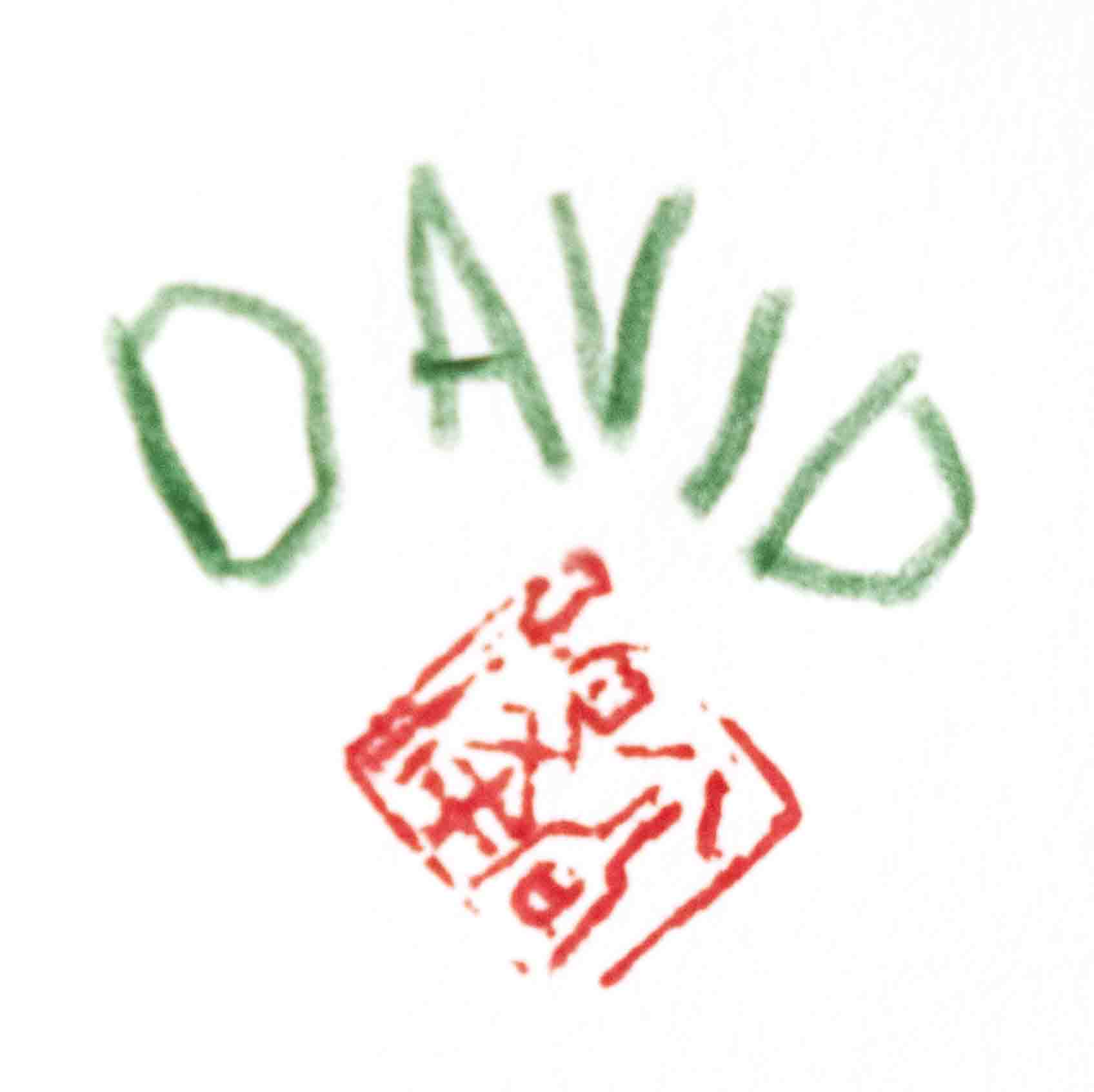 The David Image